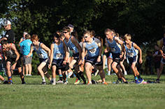 img_0557-website